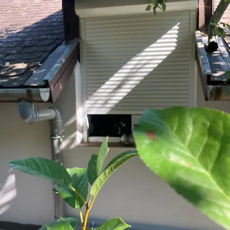 בית נופש Borostyan Vendeghaz -