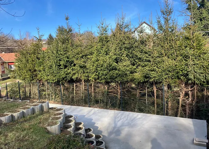 Borostyan Vendeghaz - * Zalaegerszeg