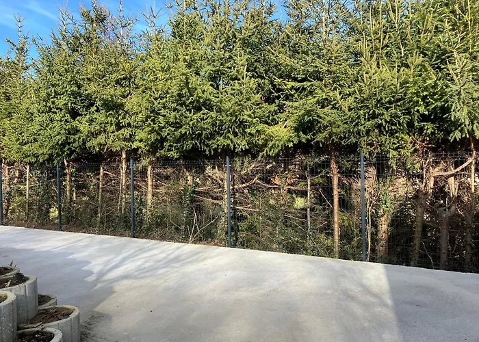 Borostyan Vendeghaz - * Zalaegerszeg