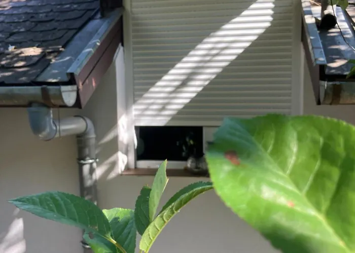 Vakantiehuis Borostyan Vendeghaz -